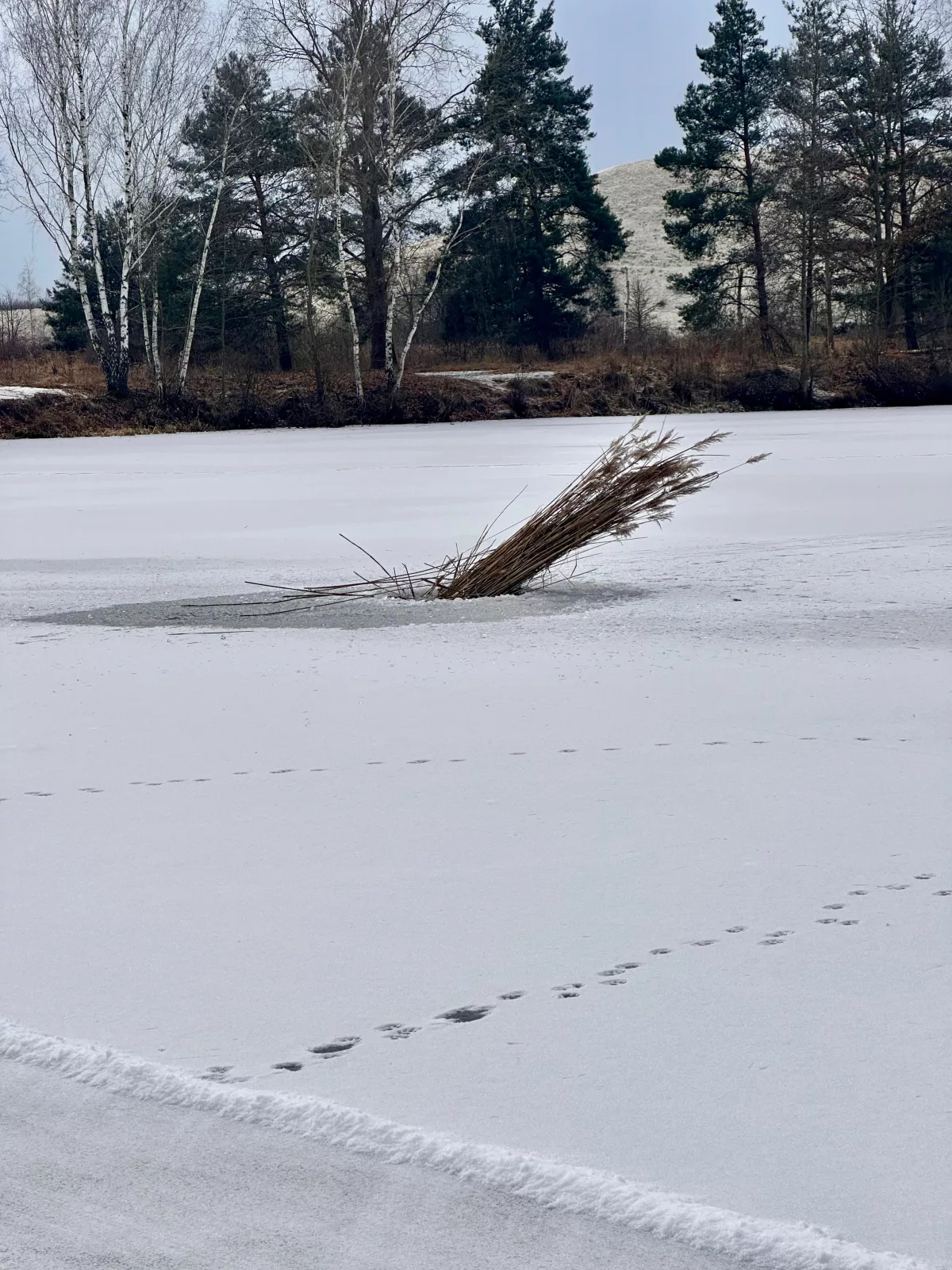 Prace na Łowisku Gryżyce